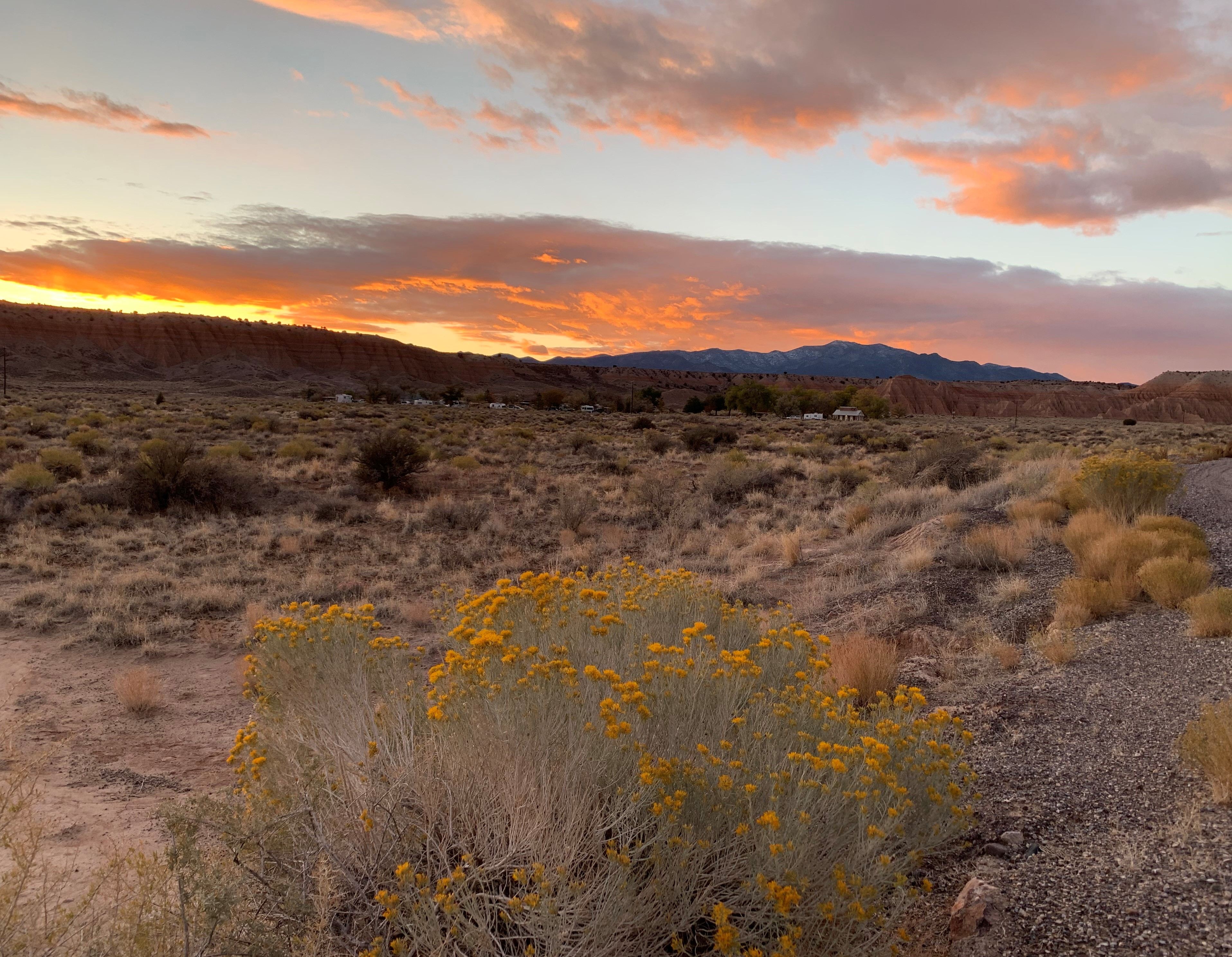Nevada
